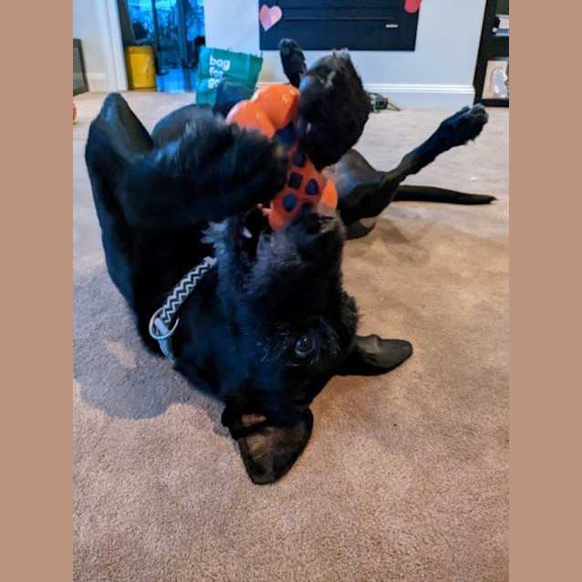 Photo of Nero Grimaldi