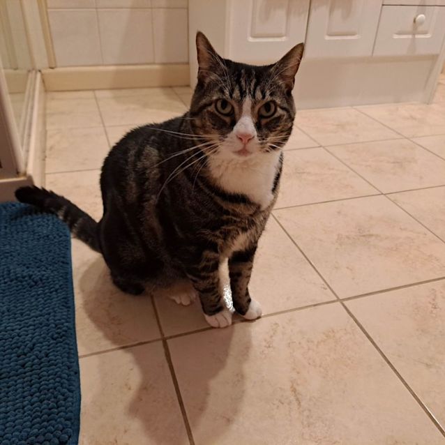 Photo of Kenji (Located In Ringwood East)