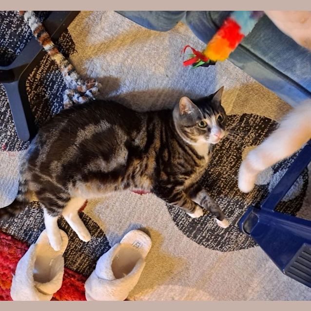 Photo of Kenji (Located In Ringwood East)