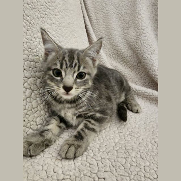 Photo of Junior 