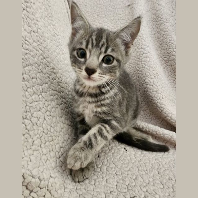 Photo of Junior 
