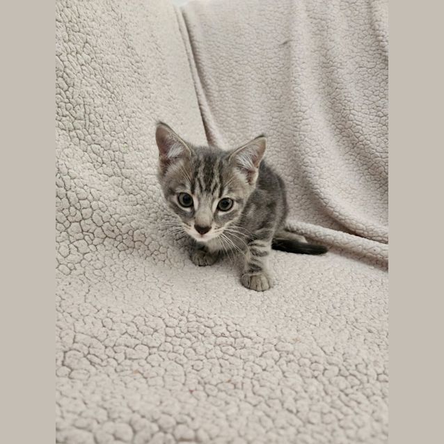 Photo of Junior 