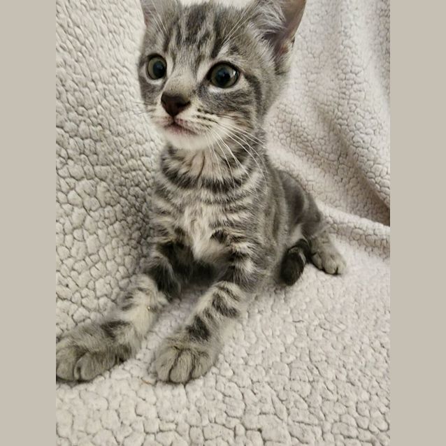 Photo of Junior 