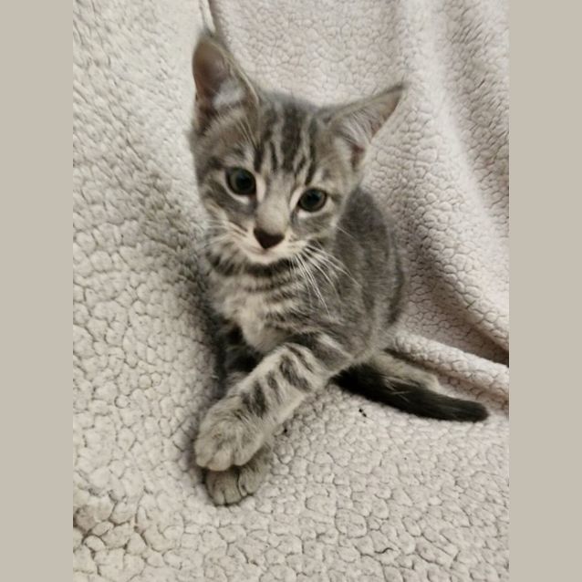 Photo of Junior 