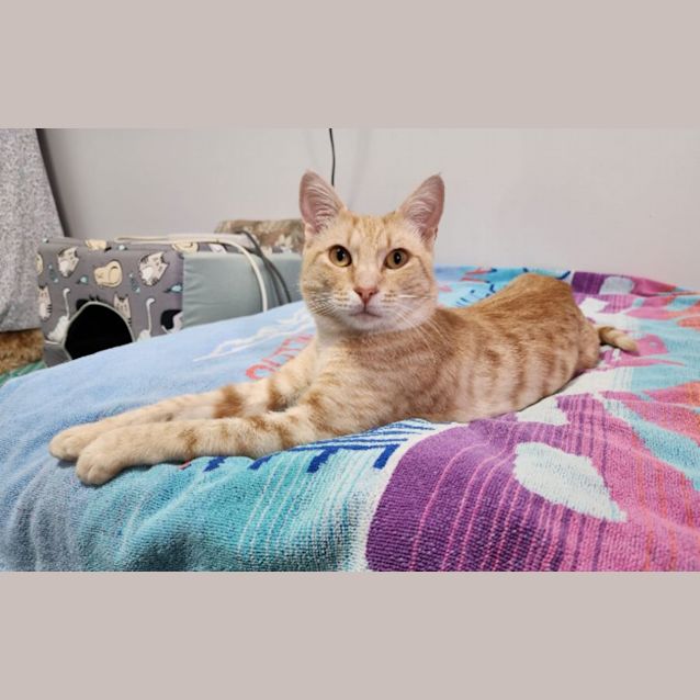 Photo of Ezra