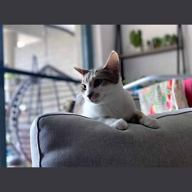Photo of Ren
