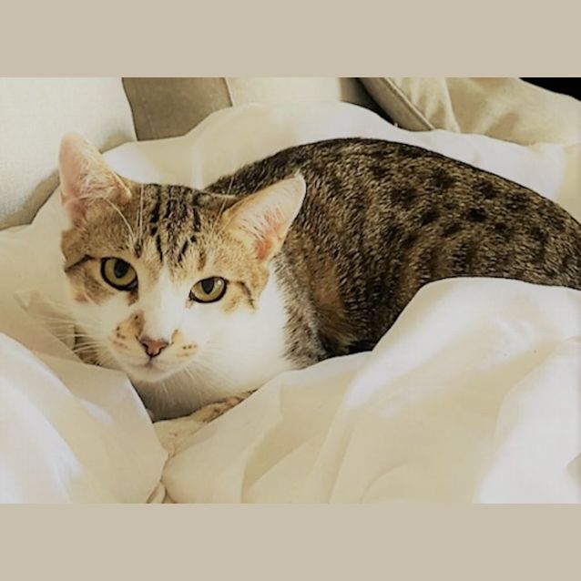 Photo of Ren