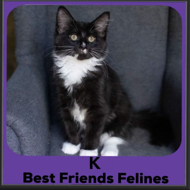 Photo of K 