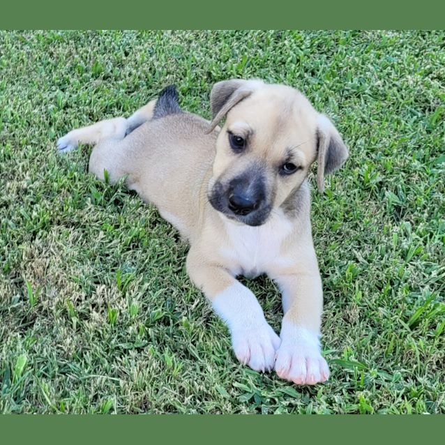 Photo of Princess Leia