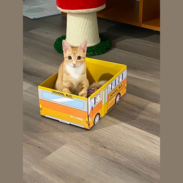Photo of Clyde
