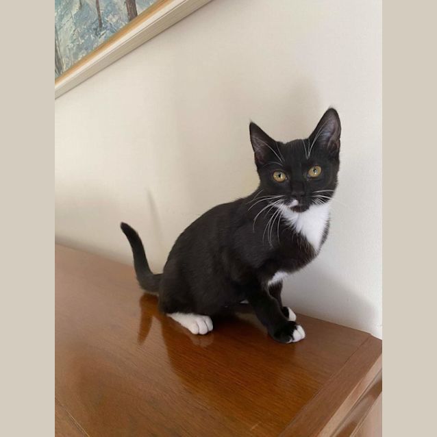 Photo of Emmy