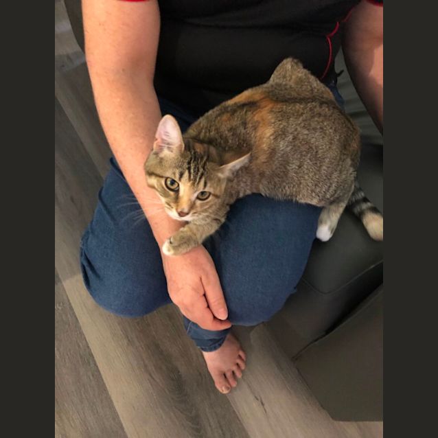 Photo of Bonnie