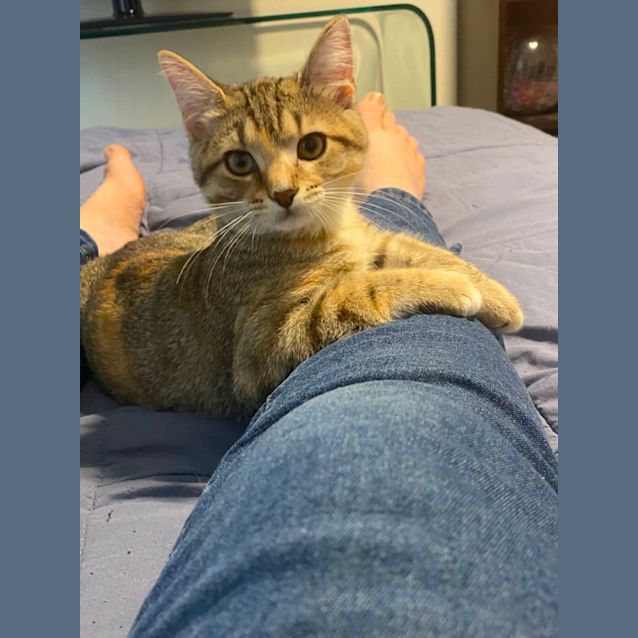 Photo of Bonnie