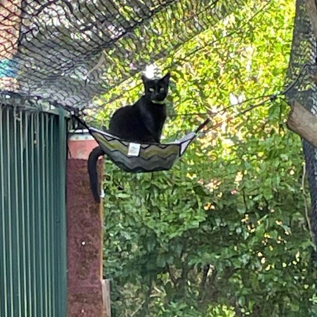 Photo of Marlow 🌻