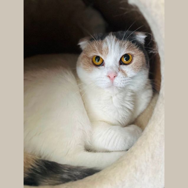 Photo of Zara