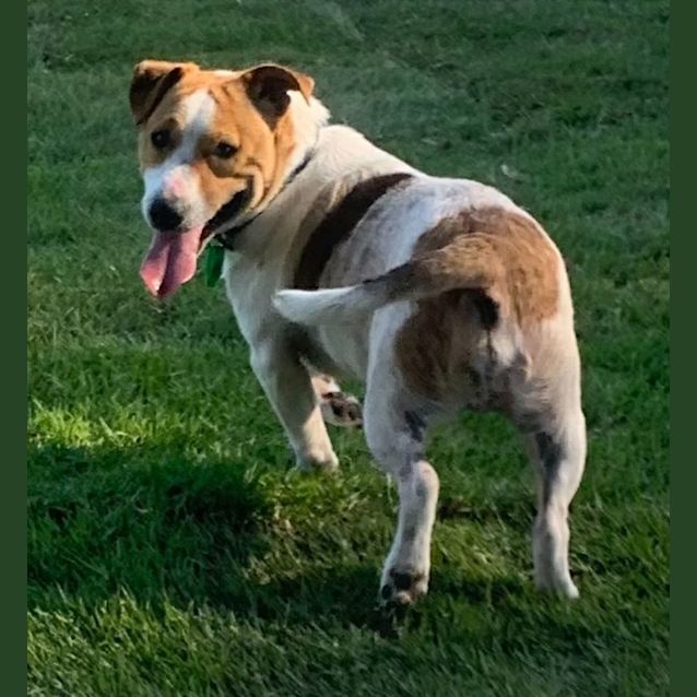 Photo of Duke