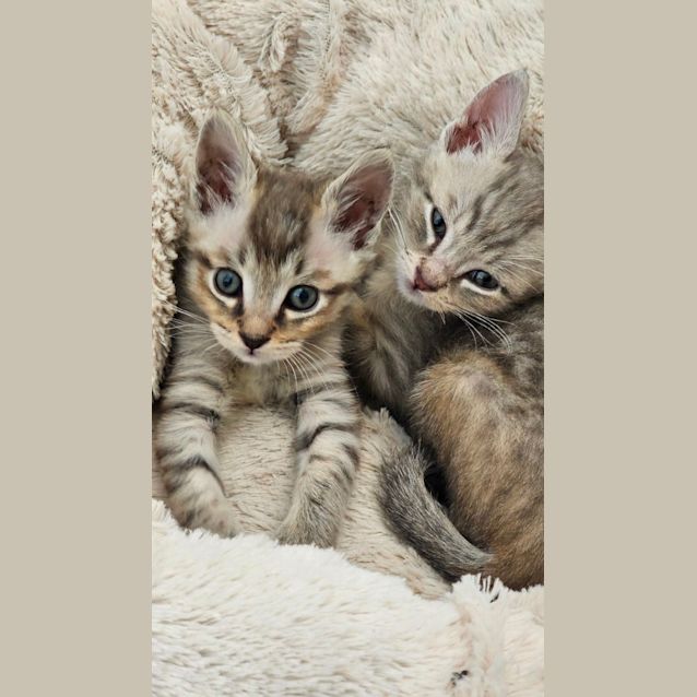 Photo of Little Ted And Wally