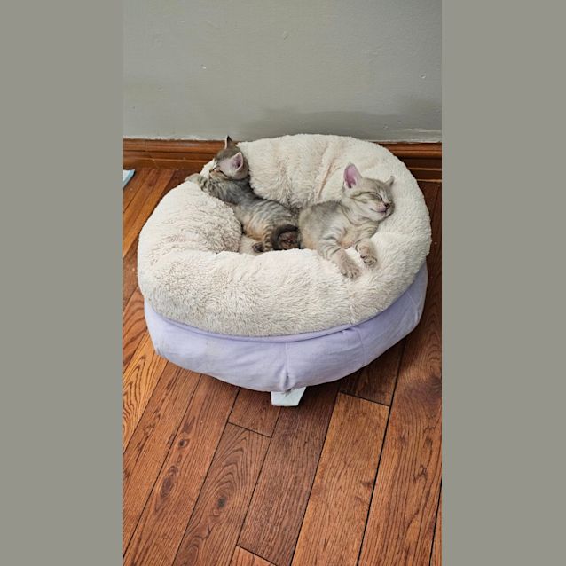 Photo of Little Ted And Wally