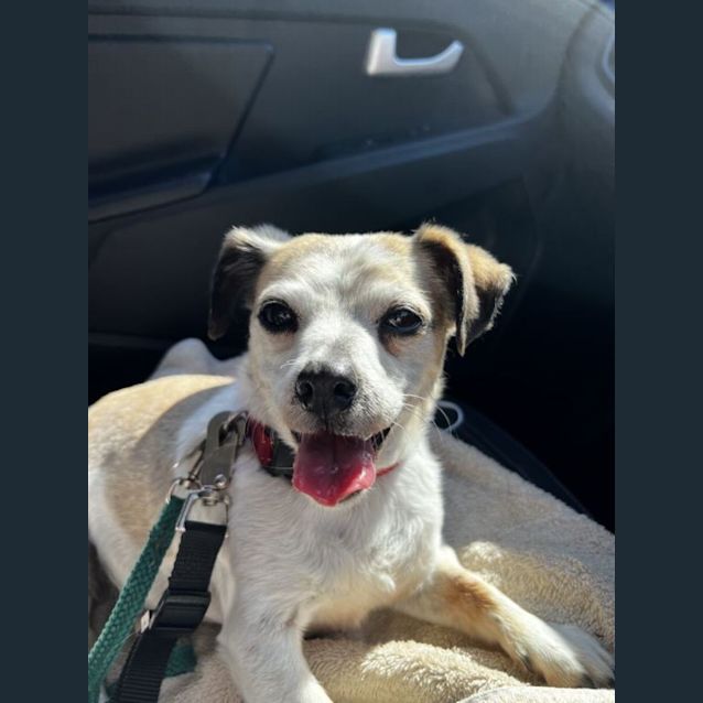 Photo of Charles Overton