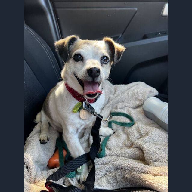 Photo of Charles Overton