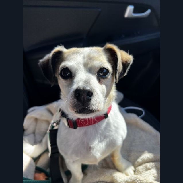 Photo of Charles Overton