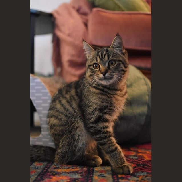 Photo of Patsu
