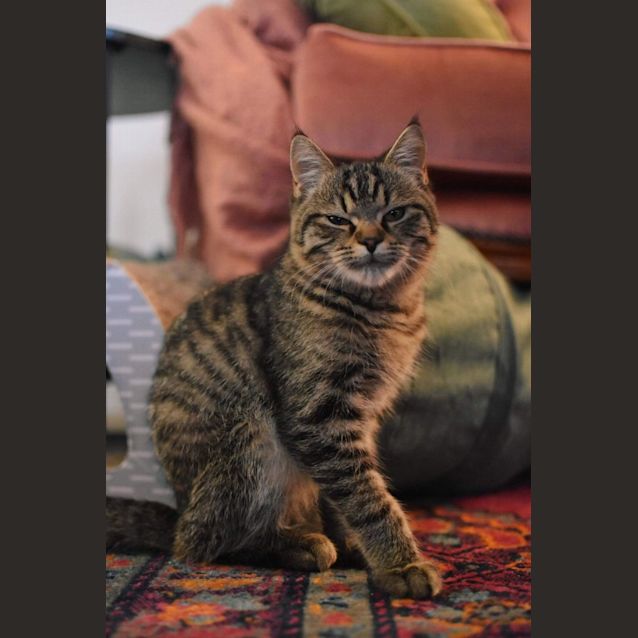 Photo of Patsu