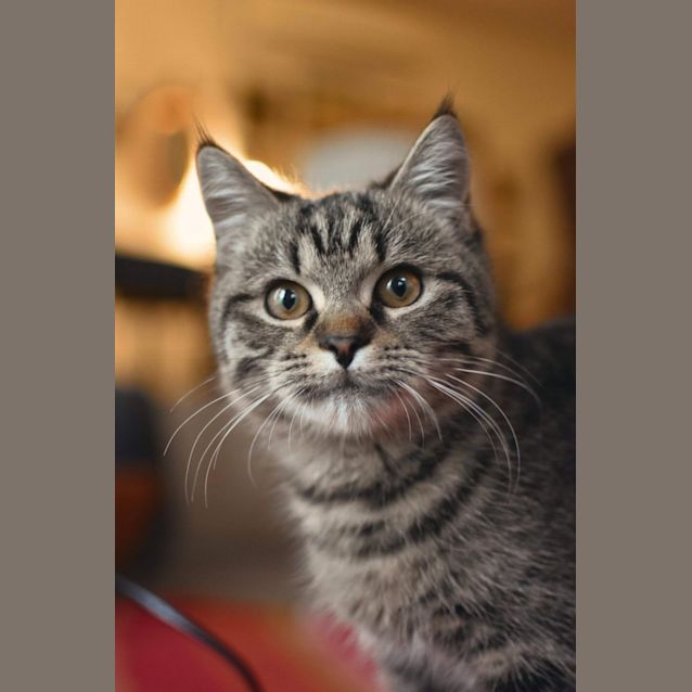 Photo of Patsu