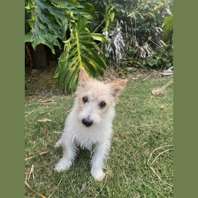 Photo of Max