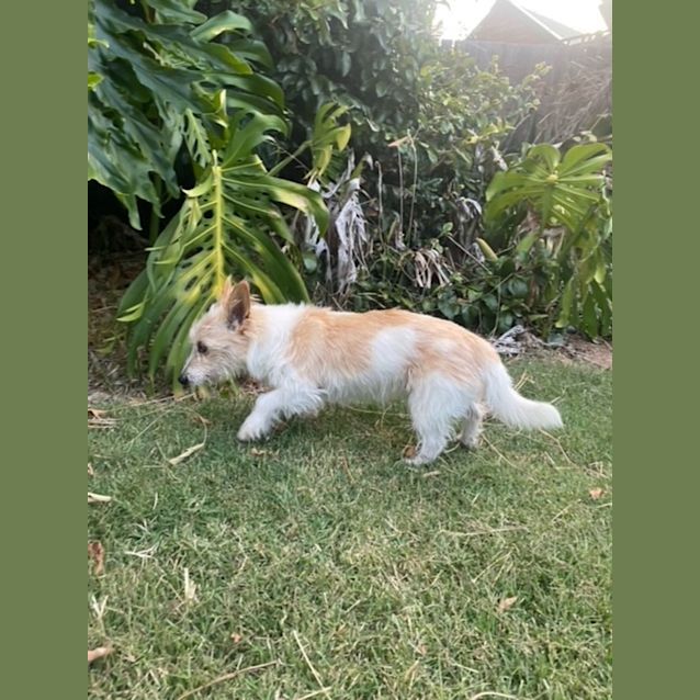 Photo of Max