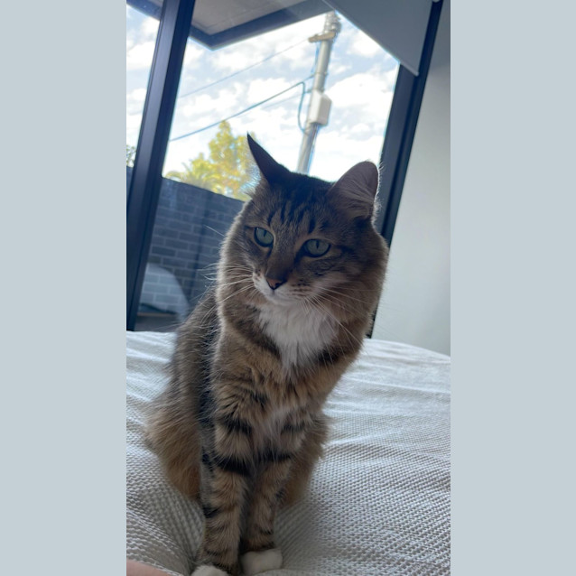 Photo of Chester