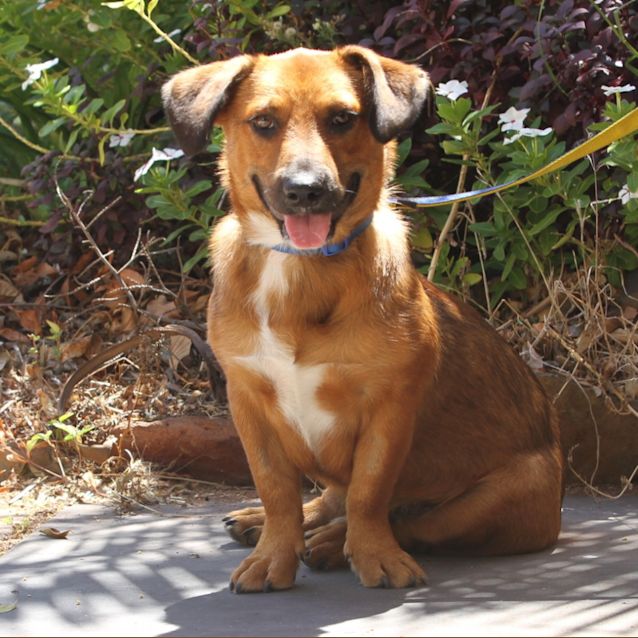 Photo of Teddy