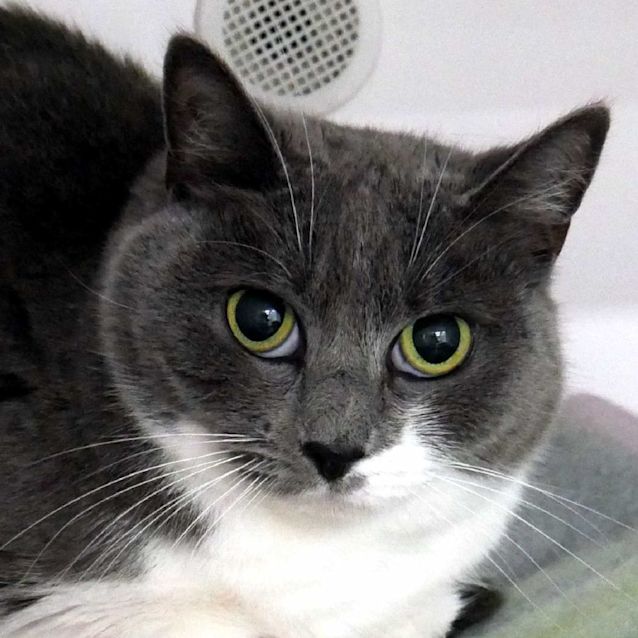 Photo of Belo Rsua001257