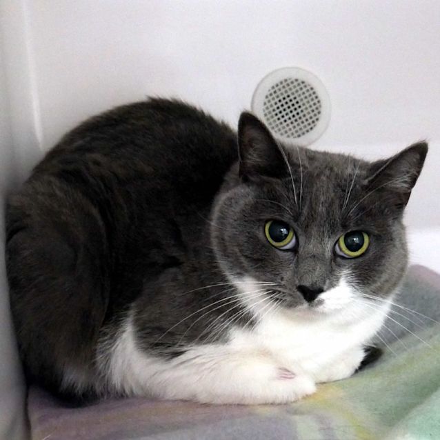 Photo of Belo Rsua001257