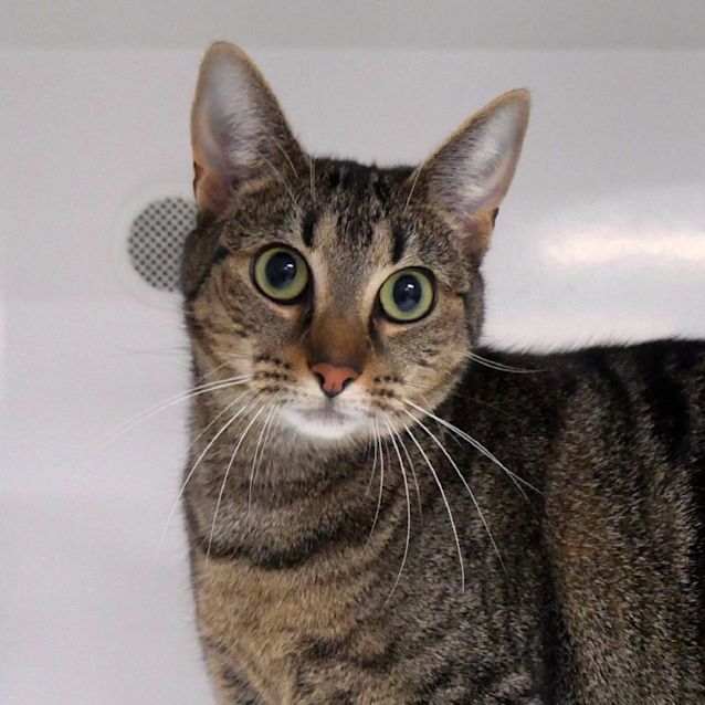 Photo of Princess Laia Sua011015