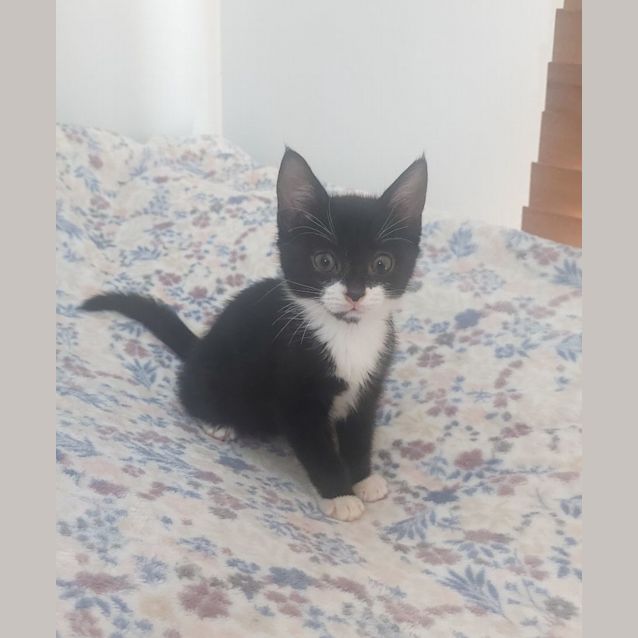 Photo of Sookie 💖