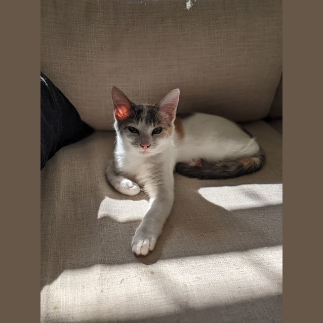 Photo of Bernadete