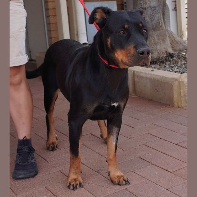 Photo of Echo