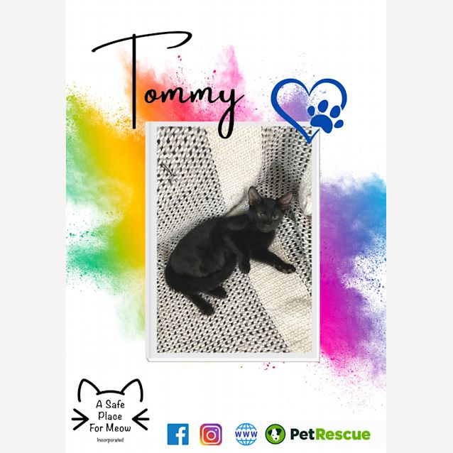 Photo of Tommy