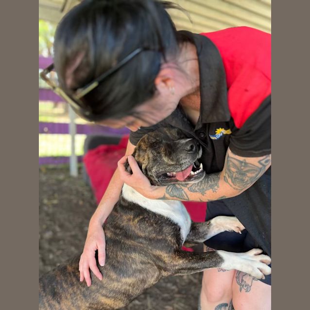 Photo of Max (Imp. 4)