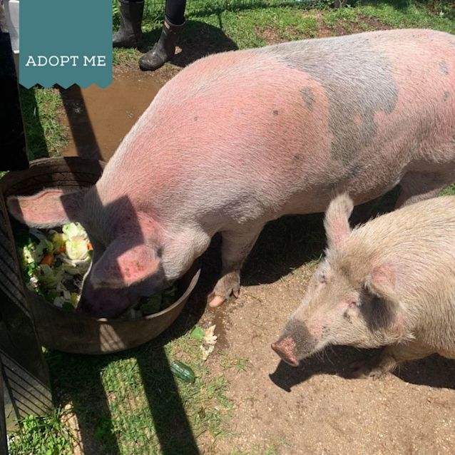 Photo of Olivia And Eleanor