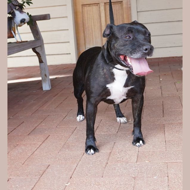 Photo of Sassy