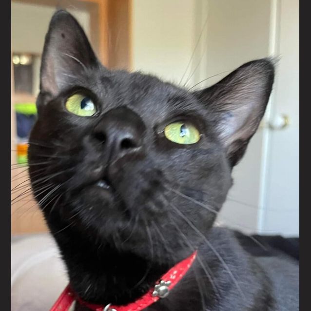 Photo of Xander