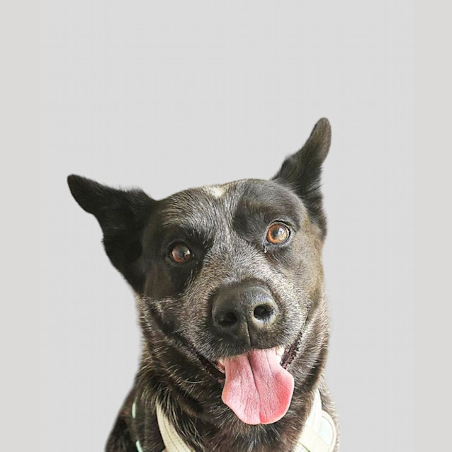 Photo of Mika