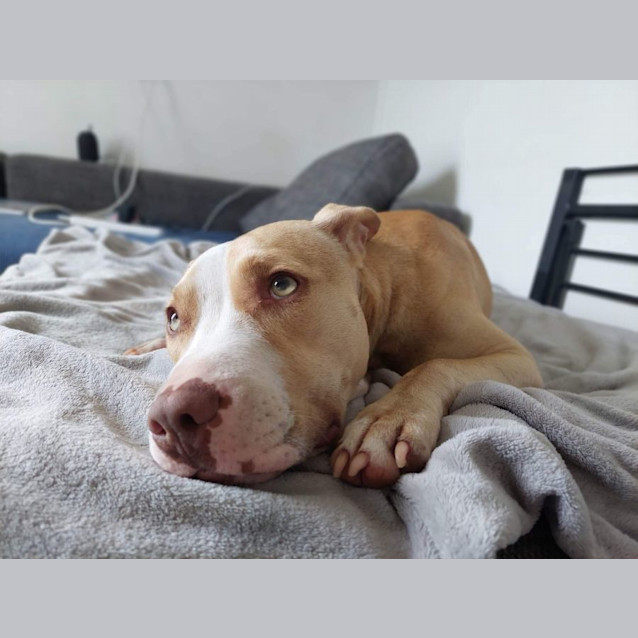 Photo of Arlo