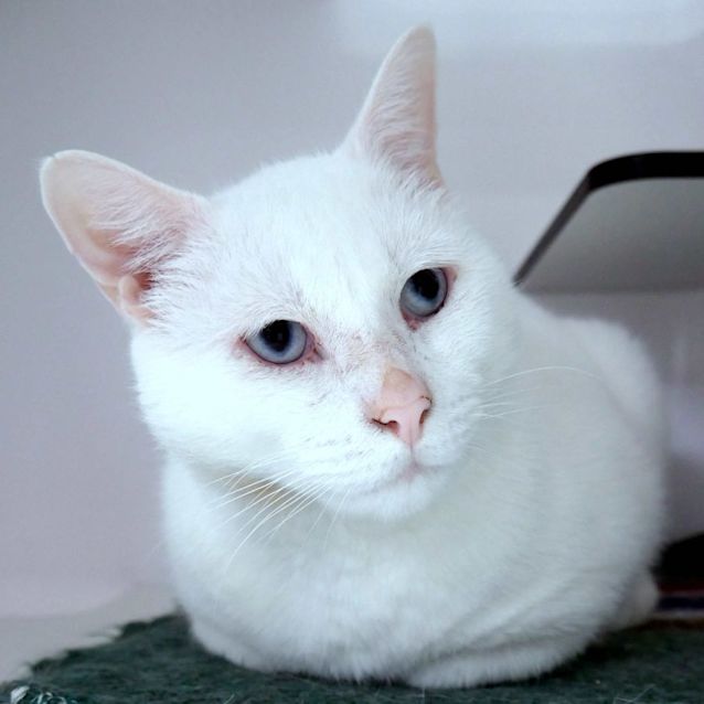 Photo of Steve Sta010604