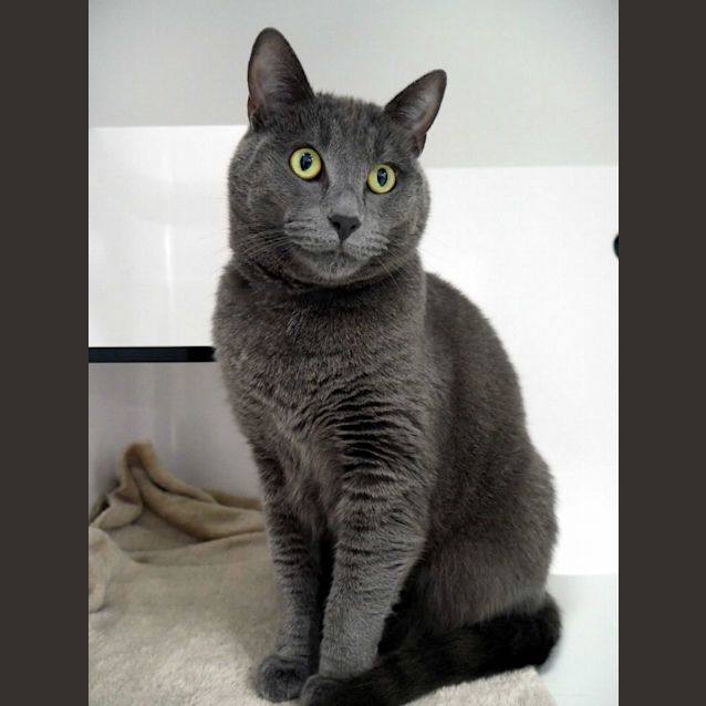 Photo of Eddie Sua011074