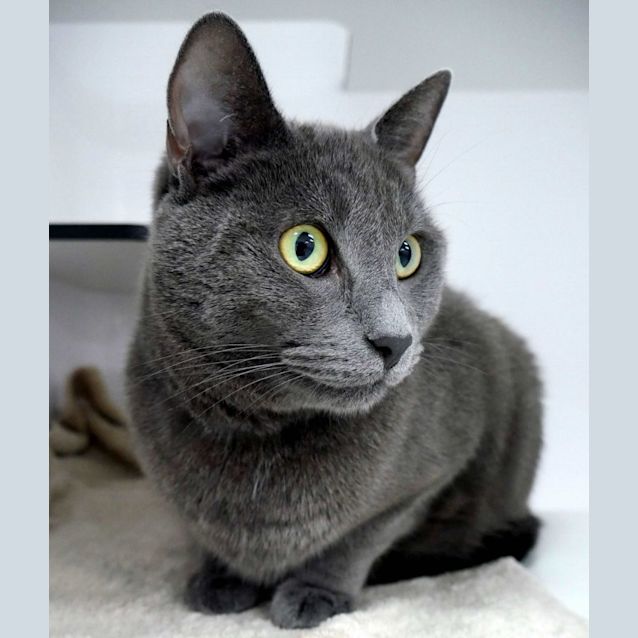 Photo of Eddie Sua011074