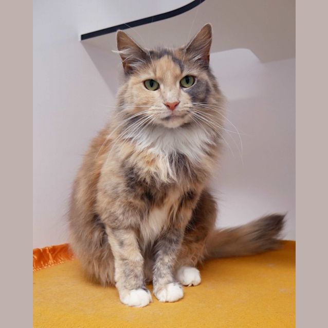 Photo of Jessie & Tom Tom Rsua010769 & Rsua010770