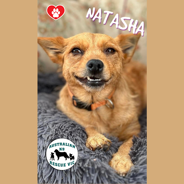 Photo of Natasha 